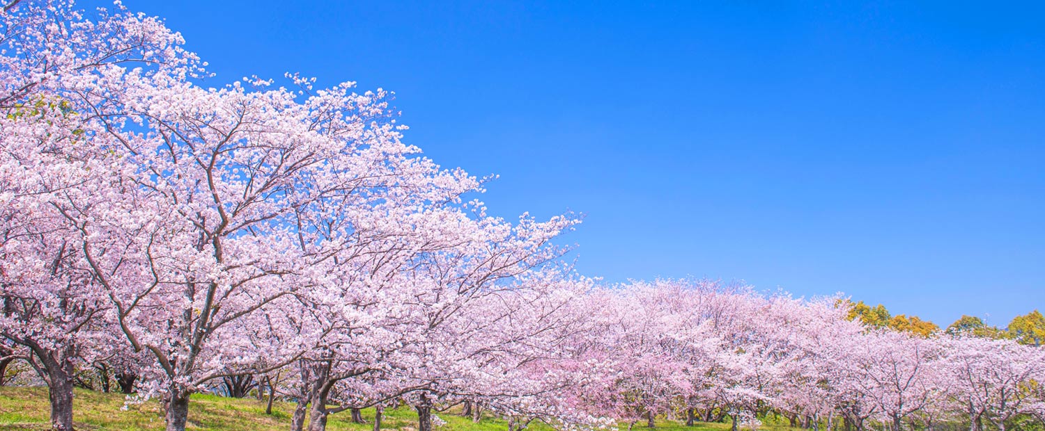 キービジュアルイメージ01